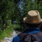 Back view of a man hiking on a sunny day wearing a straw hat and backpack in a lush green forest.