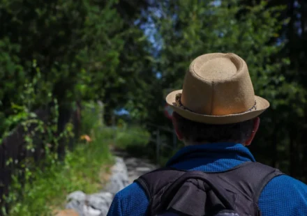 Back view of a man hiking on a sunny day wearing a straw hat and backpack in a lush green forest.