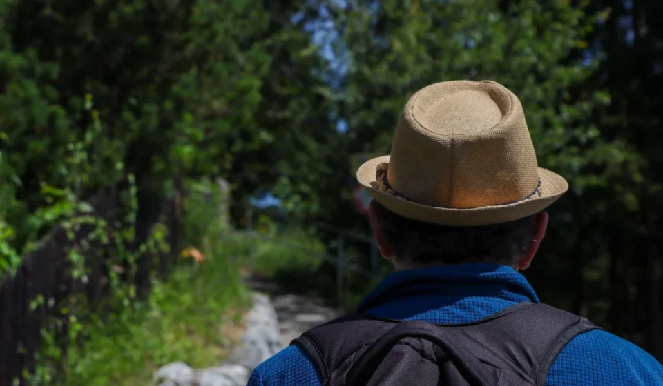 Back view of a man hiking on a sunny day wearing a straw hat and backpack in a lush green forest.